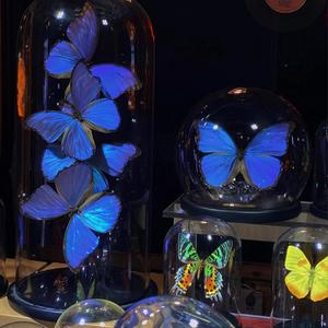 爱我还是他