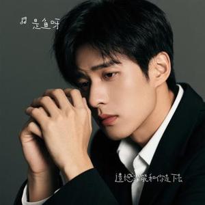 遗憾没能和你走下去 (Cover 王佳音)