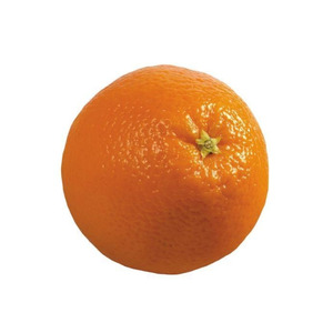 Pras Pir4nh4s Do Tai Tai