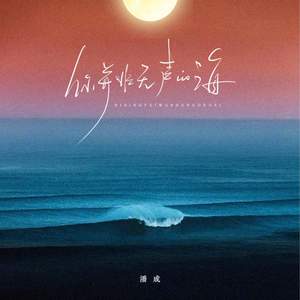 你并非无声的海