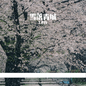 雪落青城