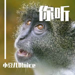 你听