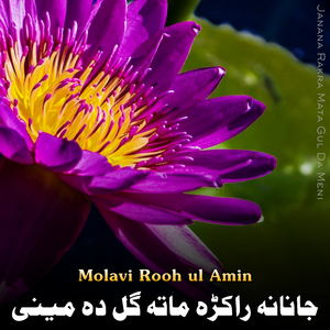 Da Seyalano Sara Seyal De Jorha Wama