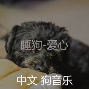 爱心-睡觉的小狗