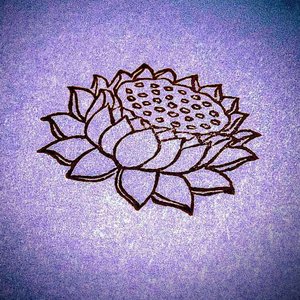 可不可以(六根已净版)