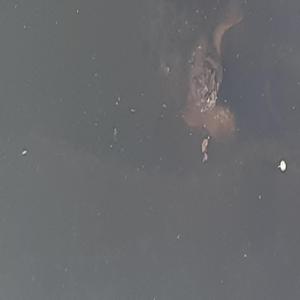 A Moral Compass With No True North