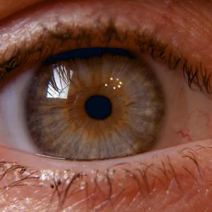 Mi ultima carta x Gold block