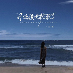 风还没吹就散了 (DJBanan版)