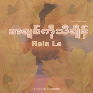 အချစ်ကိုသိချိန် (Live)