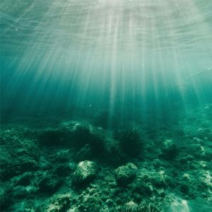 蓝色荧光海（纯音乐）