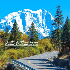 断桥不断肝肠断孤山不孤君心孤