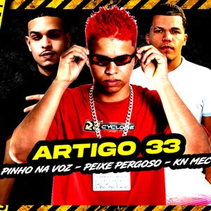 Artigo 33