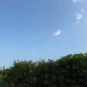 Unchanging 変わらぬもの