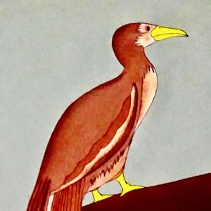 Hubba Bubba vs PK Chewing Gum