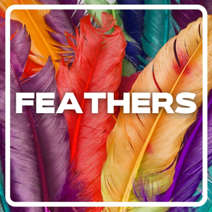 Tu as Mis Les Voiles