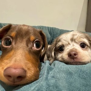 停留属于7的位置