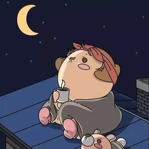 在我的世界里看星星