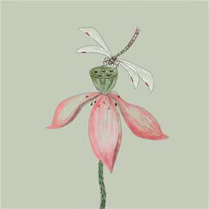 青葱（纯音乐）