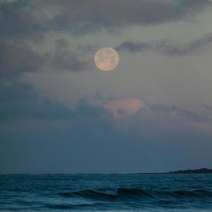 Barefoot (feat. Joe Jester)