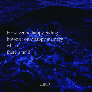 林俊杰-可惜没如果remix（ZIKO remix）