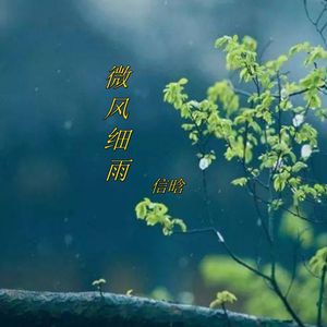 微风细雨（热歌动感DJ)