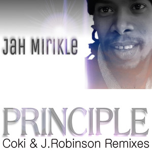Principle (J.Robinson Steppas Remix)