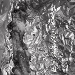 我是自己荒唐的灾难（翻自HAO付豪）