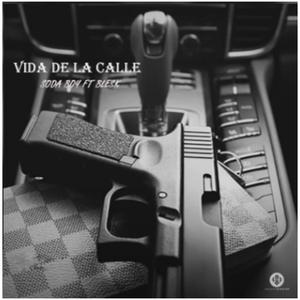 Vida De La Calle (feat. Blesk & Soda Boy)