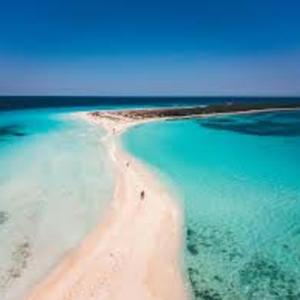 Fresh Waves, New Days