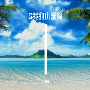 Z电脑比较合适