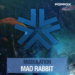 Mad Rabbit (Original Mix)