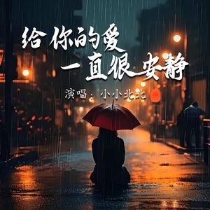给你的爱一直很安静