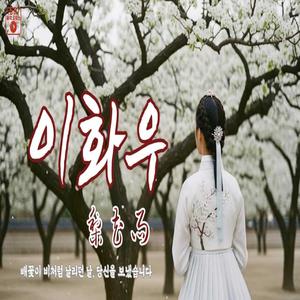 이화우 (梨花雨)