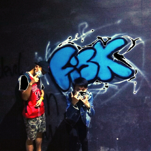 FI国库SK(INST.ver)