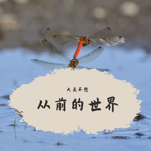 从前的世界