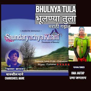 Bhulnya Tula Nayan Mitata (Female Version)