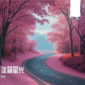 冰箱星光