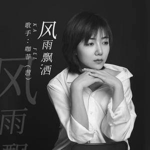风雨飘洒(DJR7版)
