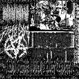 The Consequences of Collectivism and Its Resolution