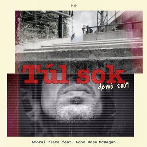 Túl sok (Demó 2009)