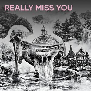Really Miss You