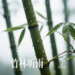 竹林听雨