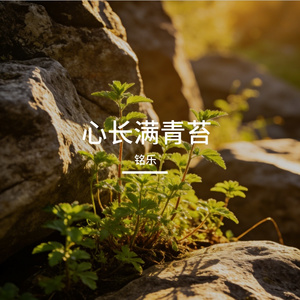 心长满青苔