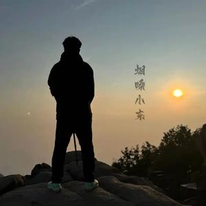 可惜春风不懂我伤悲 (烟嗓版)