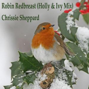 Robin Redbreast (Holly & Ivy Mix)