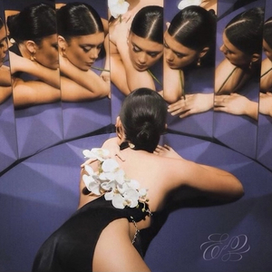Venus At The Mirror