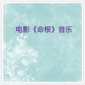 气势恢弘而深沉厚重的演奏版 (电影命根配乐)