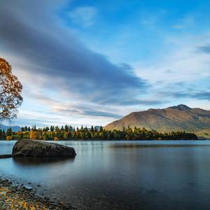 你的突然出现惊艳了我的人生