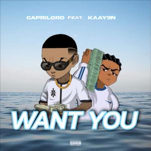 WANT YOUUU (feat. Kaay9n)
