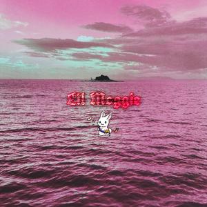 SNØW-Geliebte.（Lil Moggie remix）